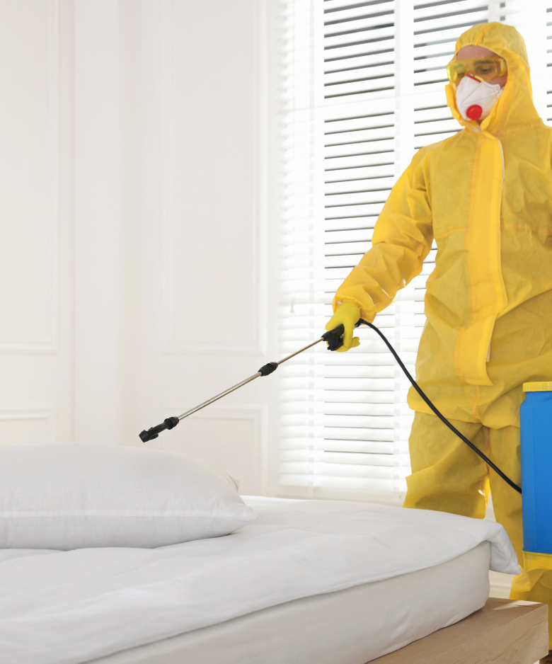 Professional Pest Control Team in Colonel Light Gardens